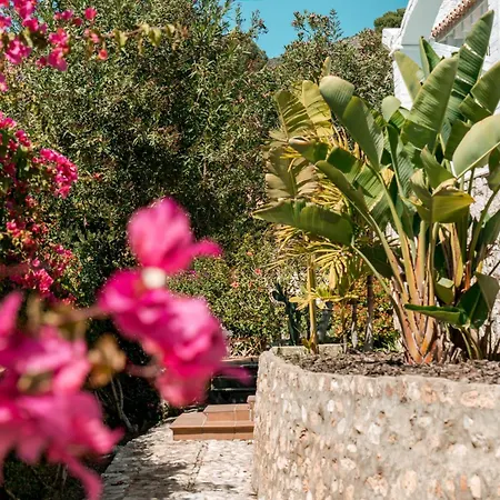 Lina - Andalusian 3-bedroom With Pool & Ocean View Villa